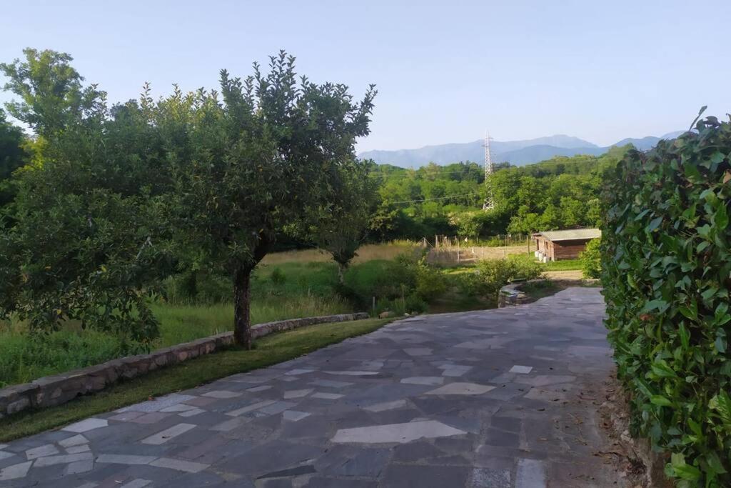 Appartamento Nel Verde Tra Cinque Terre E Versilia Barbarasco Dış mekan fotoğraf